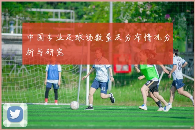 中国专业足球场数量及分布情况分析与研究