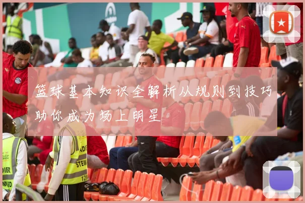 篮球基本知识全解析从规则到技巧助你成为场上明星