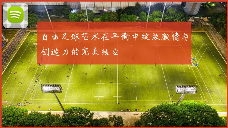自由足球艺术在平衡中绽放激情与创造力的完美结合