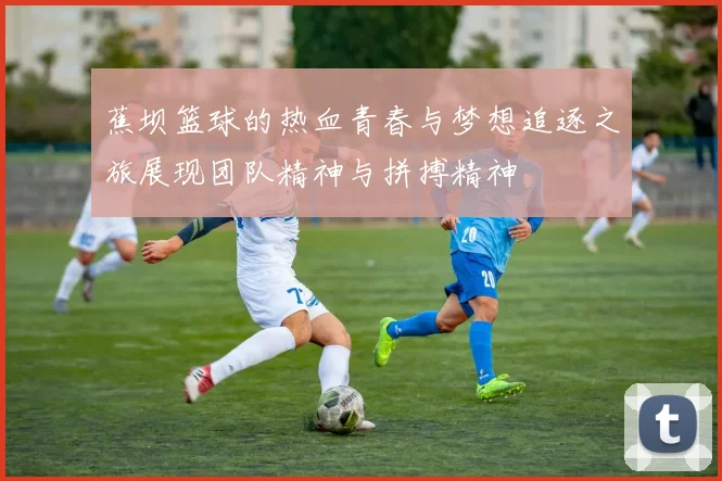 蕉坝篮球的热血青春与梦想追逐之旅展现团队精神与拼搏精神