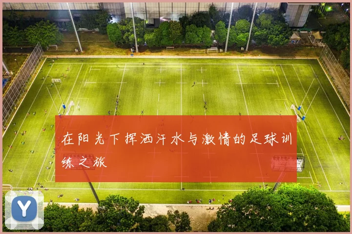 在阳光下挥洒汗水与激情的足球训练之旅