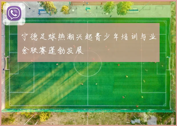 宁德足球热潮兴起青少年培训与业余联赛蓬勃发展