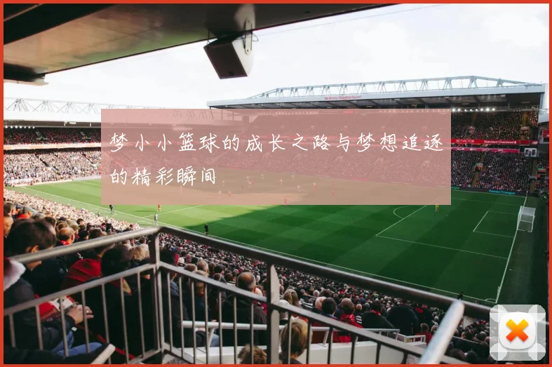 梦小小篮球的成长之路与梦想追逐的精彩瞬间