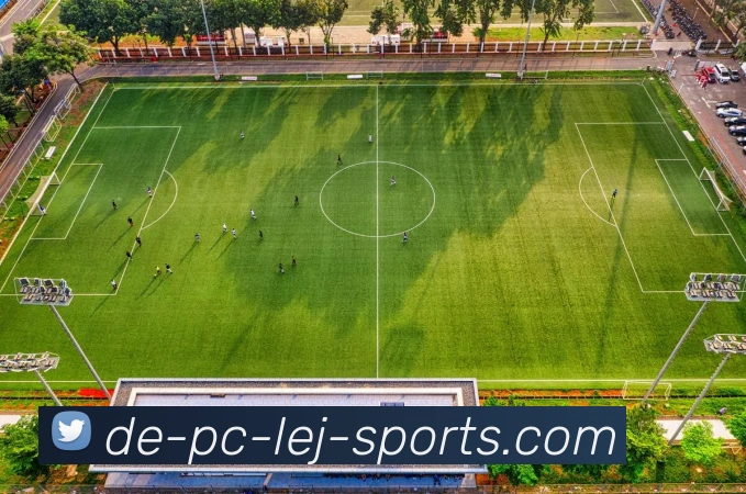 乐竞平台平台生态图